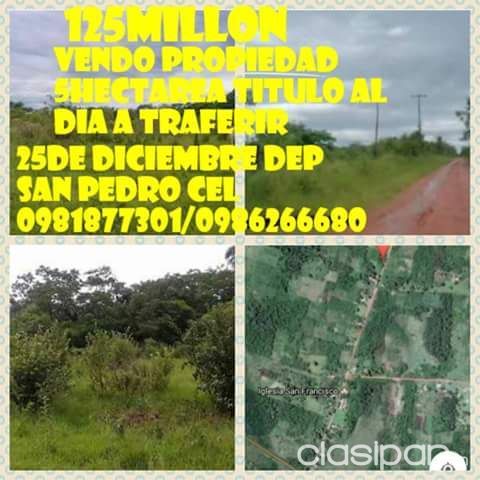 Vendo propiedad de 5 htreas — foto 2