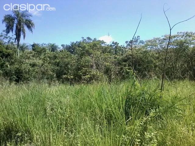 HERMOSA PROPIEDAD EN CORDILLERA 100 HAS TIERRA ALTA — foto 2