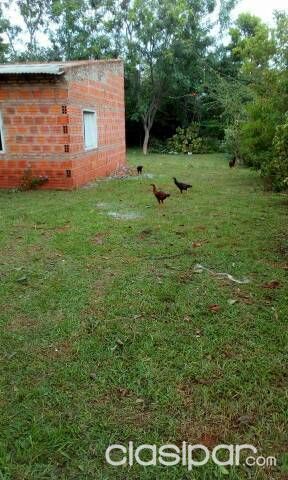 Vendo está propiedades por el título totalmente pagado único dueño medida del terreno es 15#45 la casa es 9 # 7 cuenta con 2 piezas y cocina comedor baño adentro — foto 3