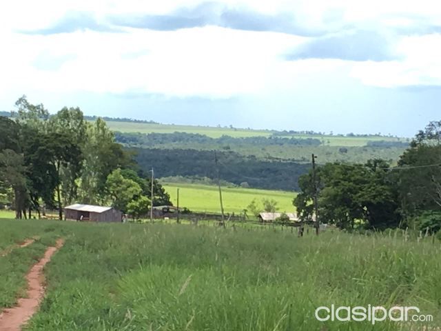 Vendo campo en Santani, Departamento de San Pedro 1.428 has. — foto 2