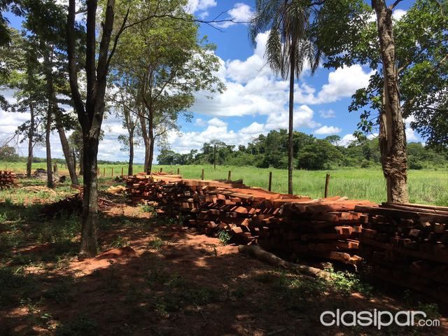 Vendo campo en Santani, Departamento de San Pedro 1.428 has. — foto 3