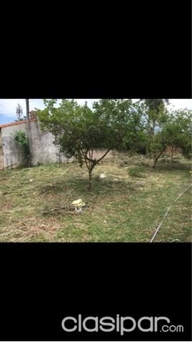Oferta Terreno c titulo en Luque! — foto 3
