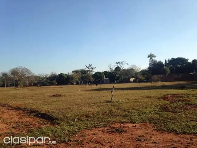 10 Hermosos Terrenos juntos en Luque Cañada San Rafael! — foto 2