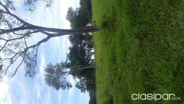 Terreno con vista al lago... — foto 3