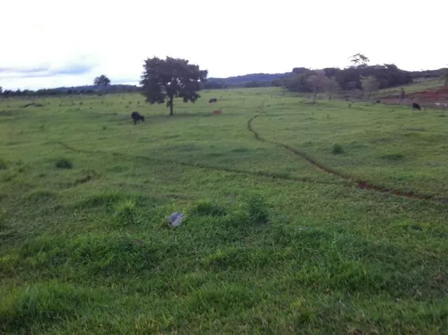 AMAMBAY - DISTRITO DE PEDRO JUAN CABALLERO - — foto 3