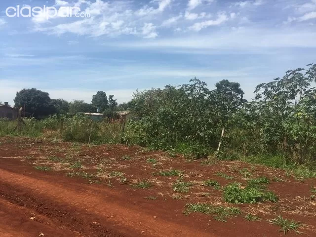 SE VENDE TERRENO EN SAN ALBERTO — foto 2