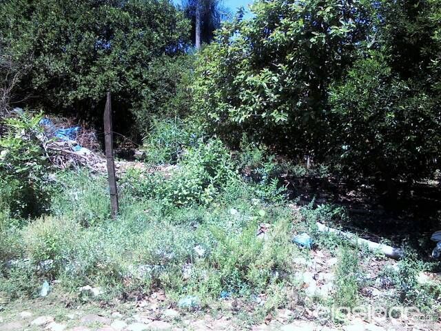 Oferta Vendo terreno en lambare 12x30 — foto 2