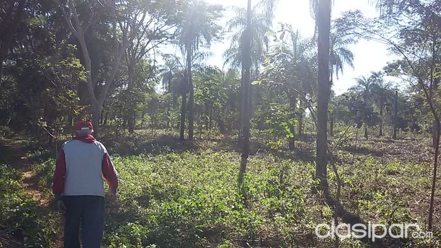 TERRENO EN CIUDAD DE LIMPIO-SALADO — foto 2