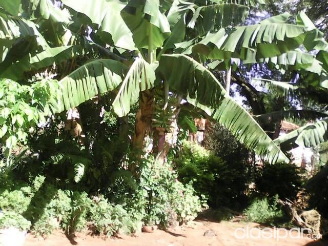 Casa económica — foto 3