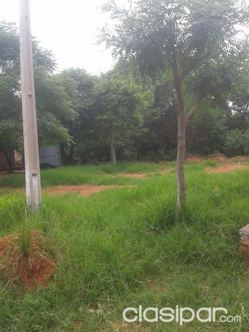 Terreno 12 X 30 m2 en Luque, Compañía Marín Caaguy — foto 3