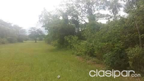 10 TERRENOS EN ALTOS — foto 3