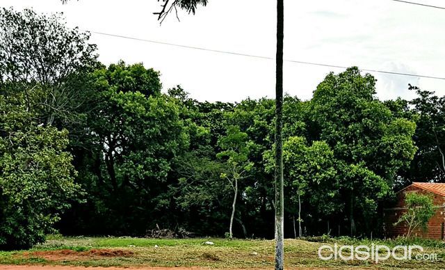 VENDO 2 TERRENOS EN LUQUE ZONA PODER JUDICIAL — foto 3