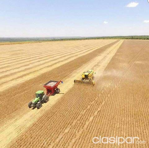 Vendo Estancia Agrícola-Ganadera de 3.300 has. — foto 2