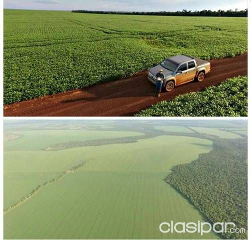 Vendo Estancia Agrícola-Ganadera de 3.300 has. — foto 3