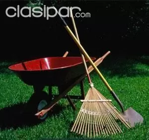 Limpieza de patio — foto 2