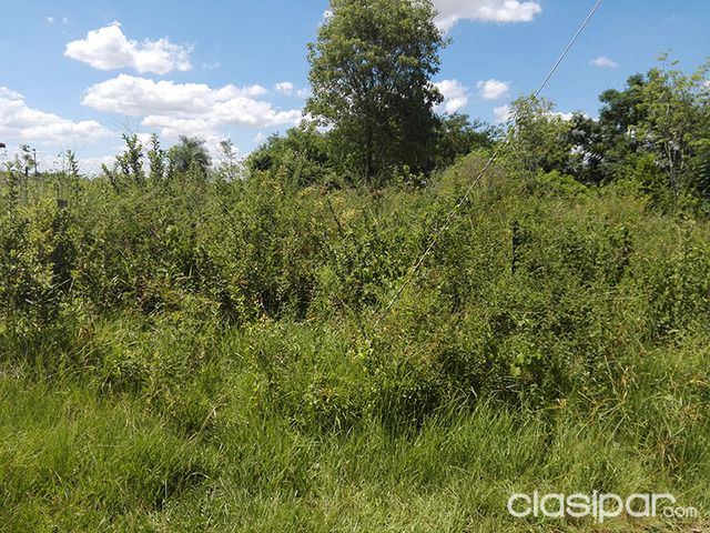 Terreno 24x30 m2, en Gral. Aquino — foto 3