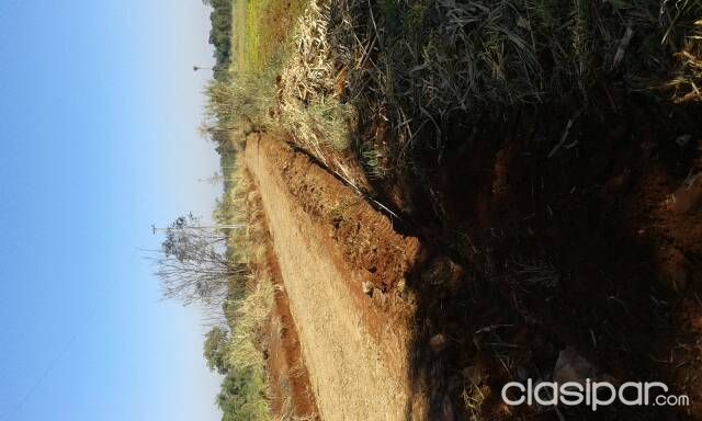Vendo una propiedad de 2 hectáreas terreno alto y plano. — foto 2