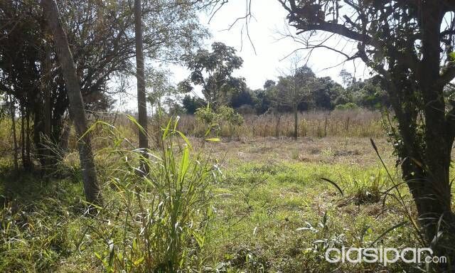 Vendo una propiedad de 2 hectáreas terreno alto y plano. — foto 3