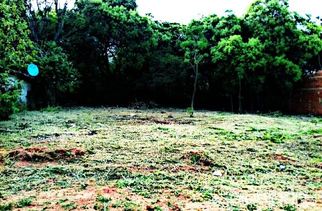 REMATO 2 LOTES JUNTOS EN LUQUE ZONA MARAMBURE A PASOS DEL PODER JUDICIAL — foto 2