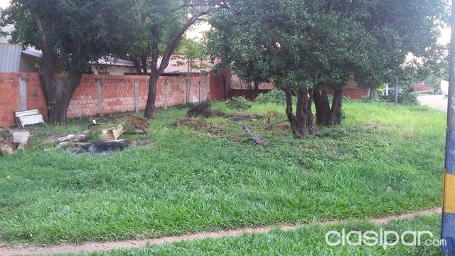 Vendo Terreno Zona Luque-Barrio Molino — foto 2