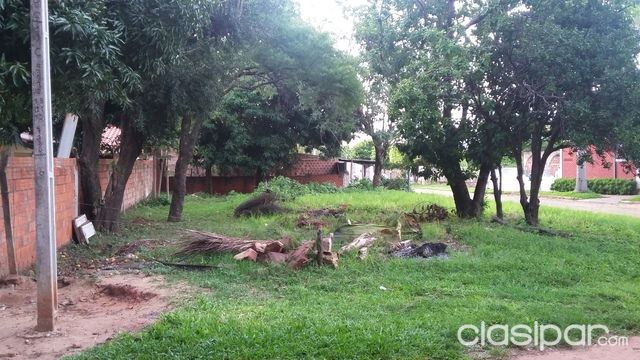 Vendo Terreno Zona Luque-Barrio Molino — foto 3