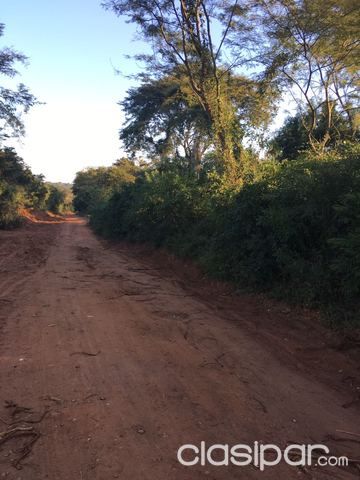 6300 m2 Luque — foto 2