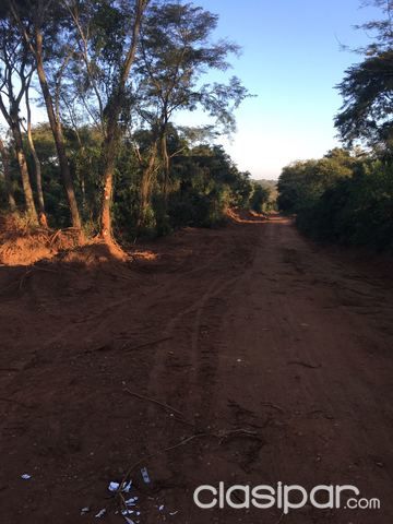 6300 m2 Luque — foto 3