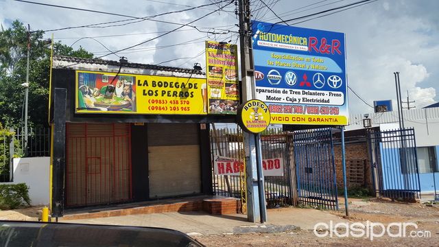 VENDO SALONES Y LOCAL PARA TALLER, MISMO TERRENO — foto 3