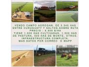 CURUGUATY - SALTO DEL GUAIRA - S/ RUTA - VENDO 3.340 HAS - CON CAMPO E INSFRAESTRUCTURA