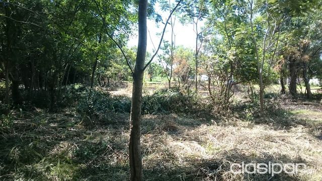 VENDO TERRENO EN ZONA PRIVILEGIADA EN LUQUE — foto 2