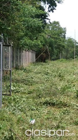 EN ZARATE ISLA (LUQUE) 1860 M2 — foto 3