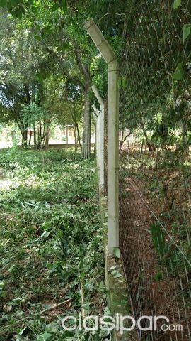 Vendo 5 lotes juntos en Zarate Isla (Luque) — foto 2