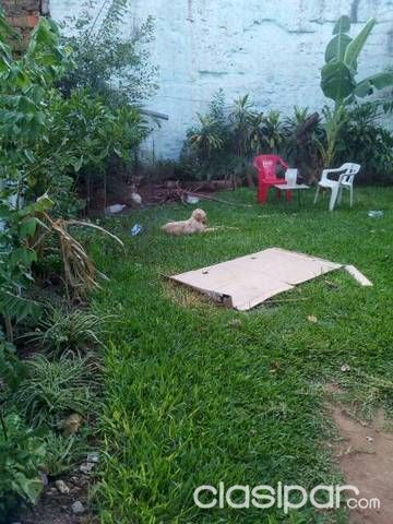 Vendo casa titulado — foto 2