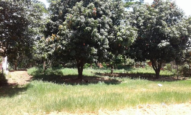 OFERTO TERRENO — foto 2