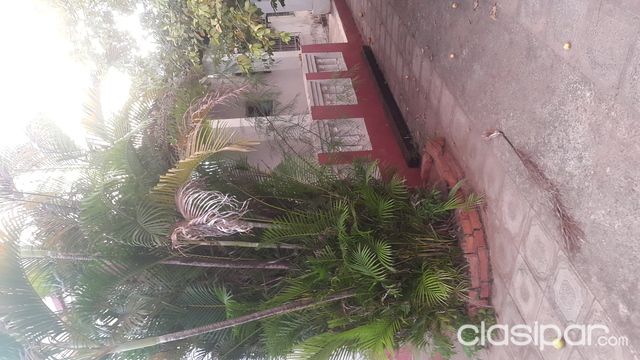 Casa en el centro de Luque — foto 2