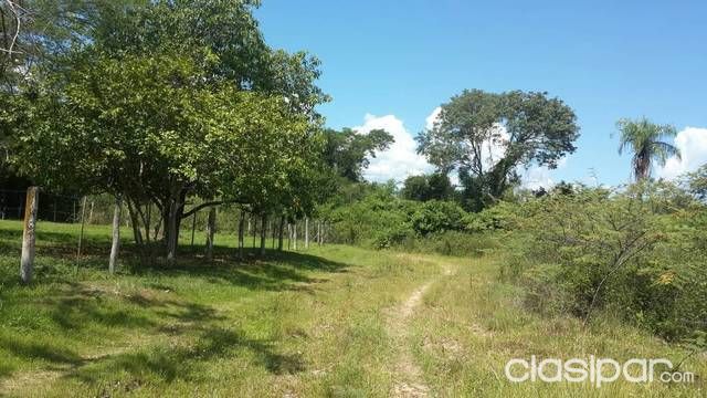 Terreno impecable! — foto 3