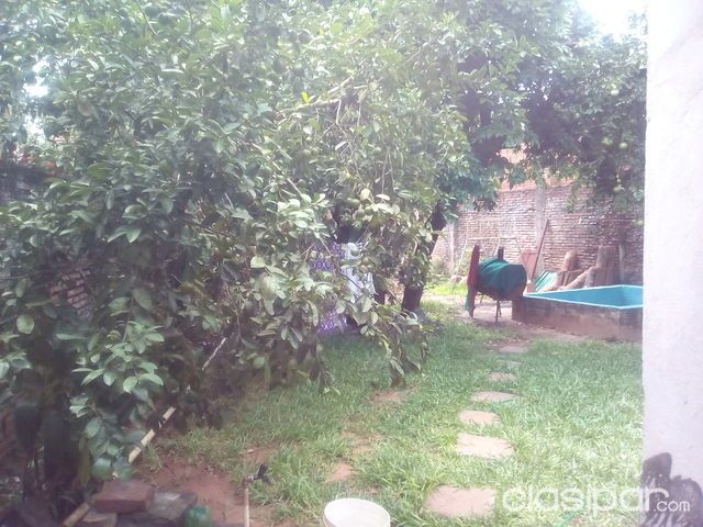 Vendo casa en el centro de Luque — foto 3