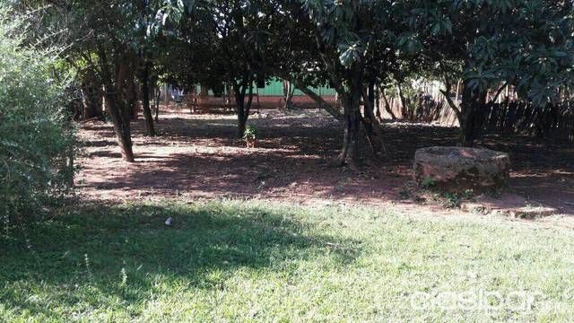 Vendo terreno en curuguaty un regalo — foto 3