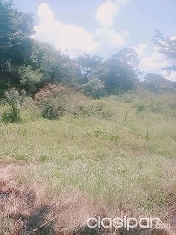 Terreno en Luque - Campo Via — foto 2
