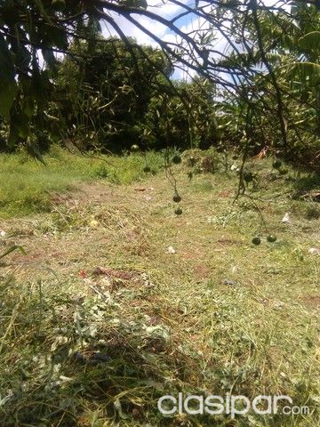 VENDO HERMOSO TERRENO EN FERNANDO DE LA MORA ZONA SU — foto 3