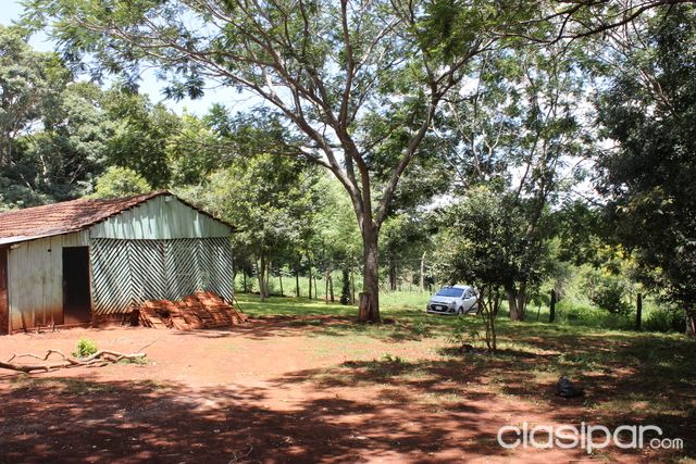 Terreno 10 has - Granja en Colonia San Isidro - Los cedrales — foto 2