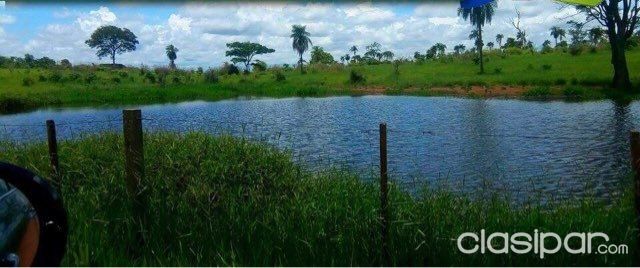 Bella Vista Norte 1.500 Hectáreas — foto 2