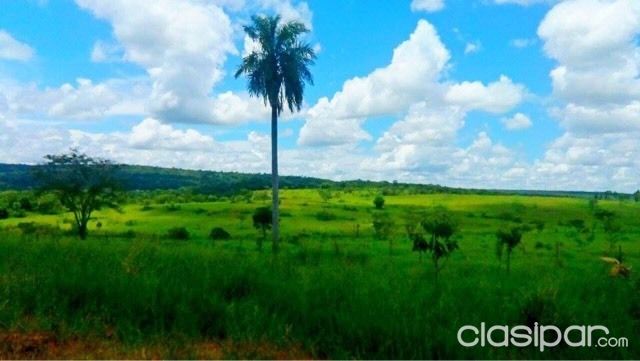 Bella Vista Norte 1.500 Hectáreas — foto 3