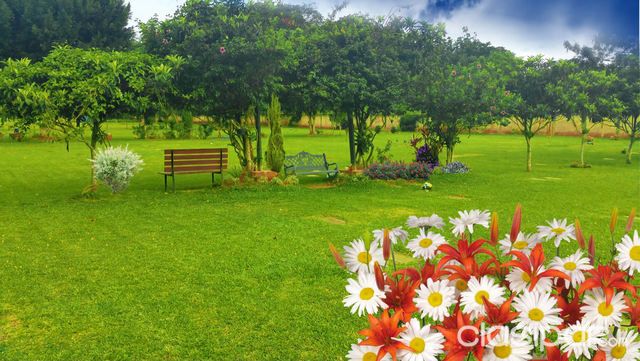Terreno Campo Santo Jardín de la Paz de Luque — foto 2
