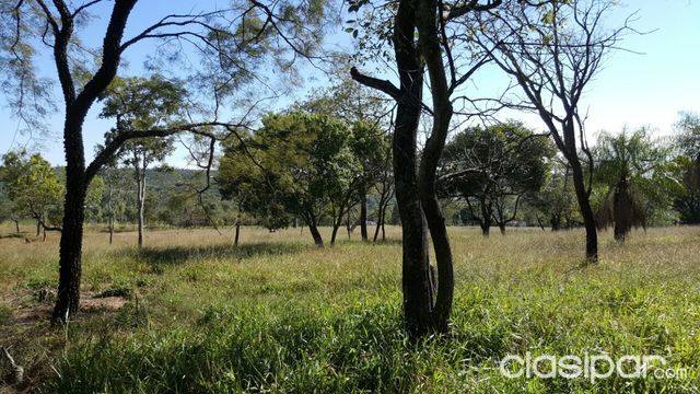 95 hectareas en la ciudad de Altos — foto 2