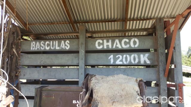 95 hectareas en la ciudad de Altos — foto 3