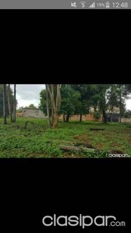 Vendo Hermoso Terreno En Luque — foto 2