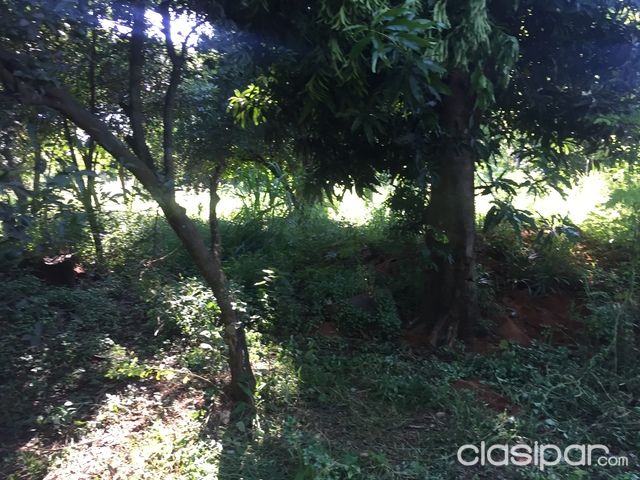 REMATO TERRENO de 6.800m2 en Villa Elisa s Calle Ultima! — foto 2