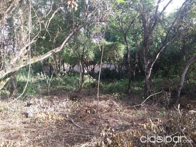 Terreno Caacupe Inmejorable ubicacion — foto 2