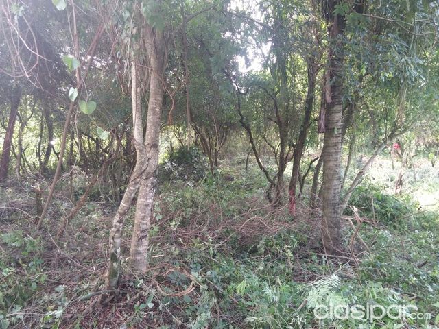 Terreno Caacupe Inmejorable ubicacion — foto 3